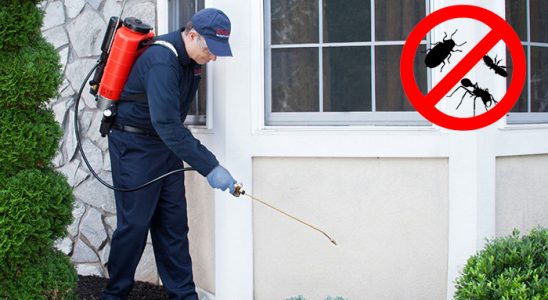 Narlıdere Fare İlaçlama böcek ilaçlama ve haşere kontrolü — ilaclama-tr.com